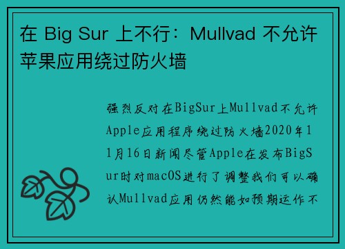 在 Big Sur 上不行：Mullvad 不允许苹果应用绕过防火墙 